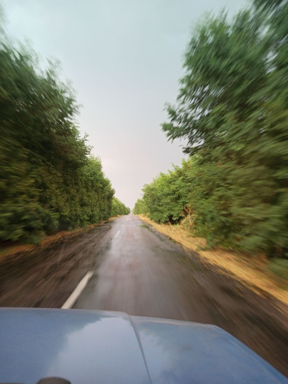 Покатушки в Чернігів 3