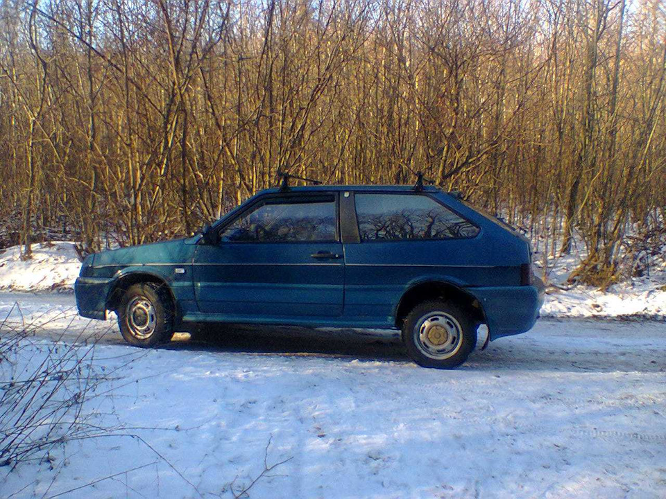 1-го числа в лесу… 1