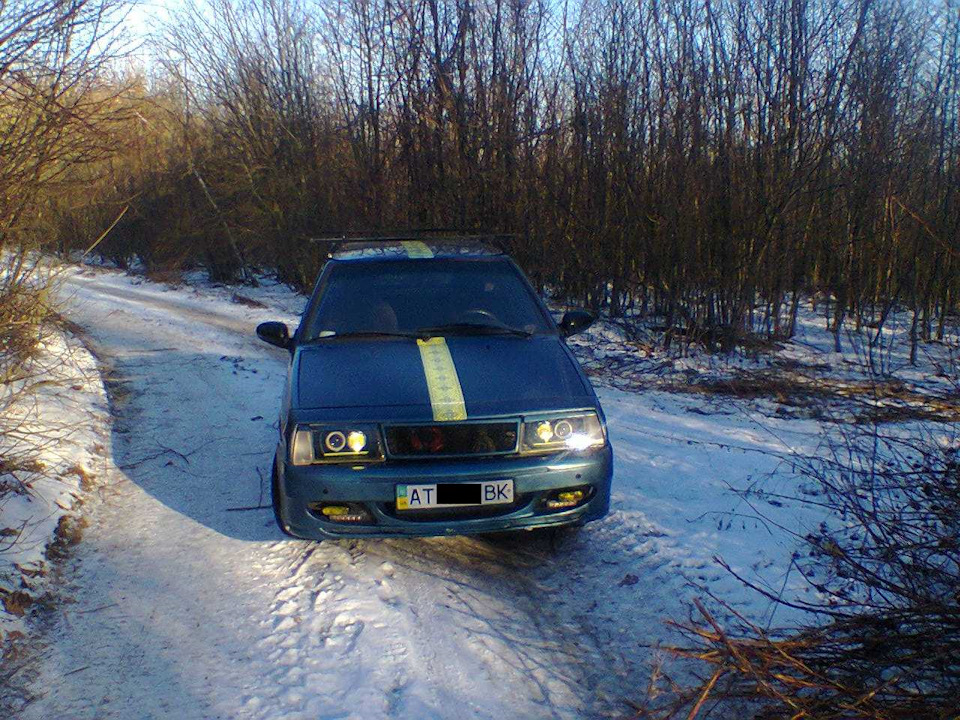 1-го числа в лесу… 2