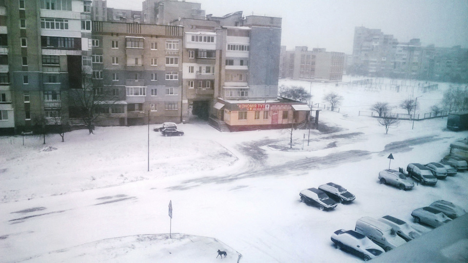 Готуй сані літом))) 1