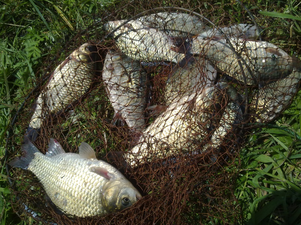 Рибалка, дрібні доробки ... 3