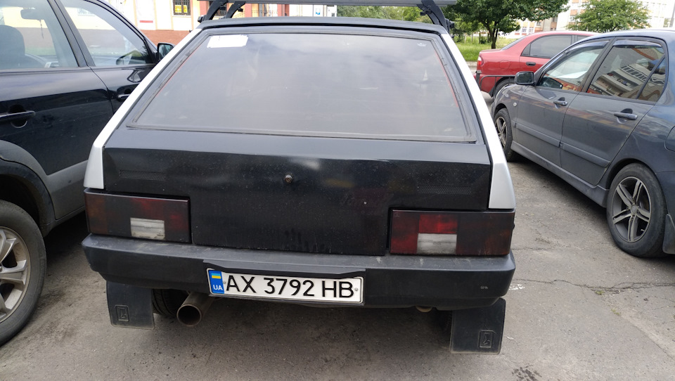 Повернулась ластівка назад 2