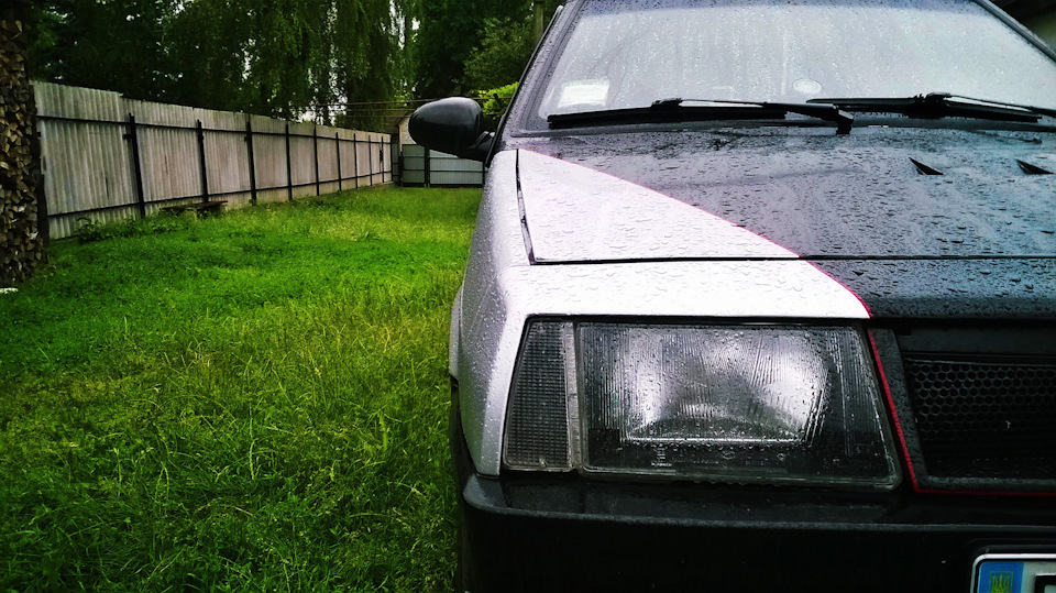 Вісім друг сім'ї 5
