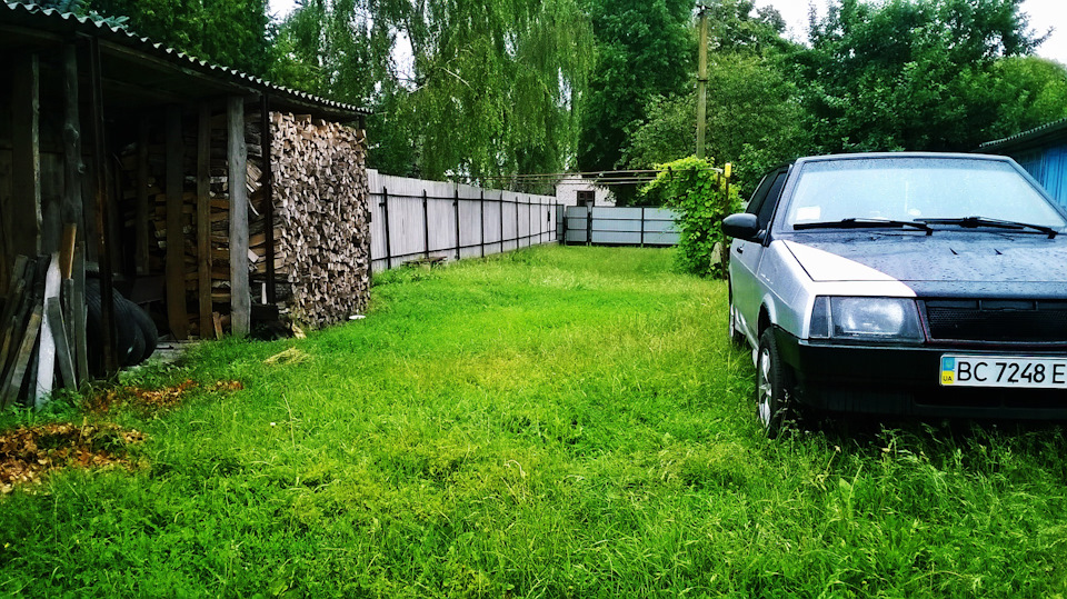 Вісім друг сім'ї 4
