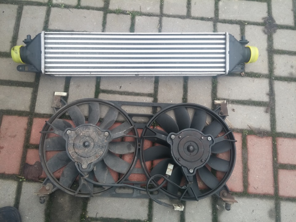 Миколайко ніштячки приніс 2