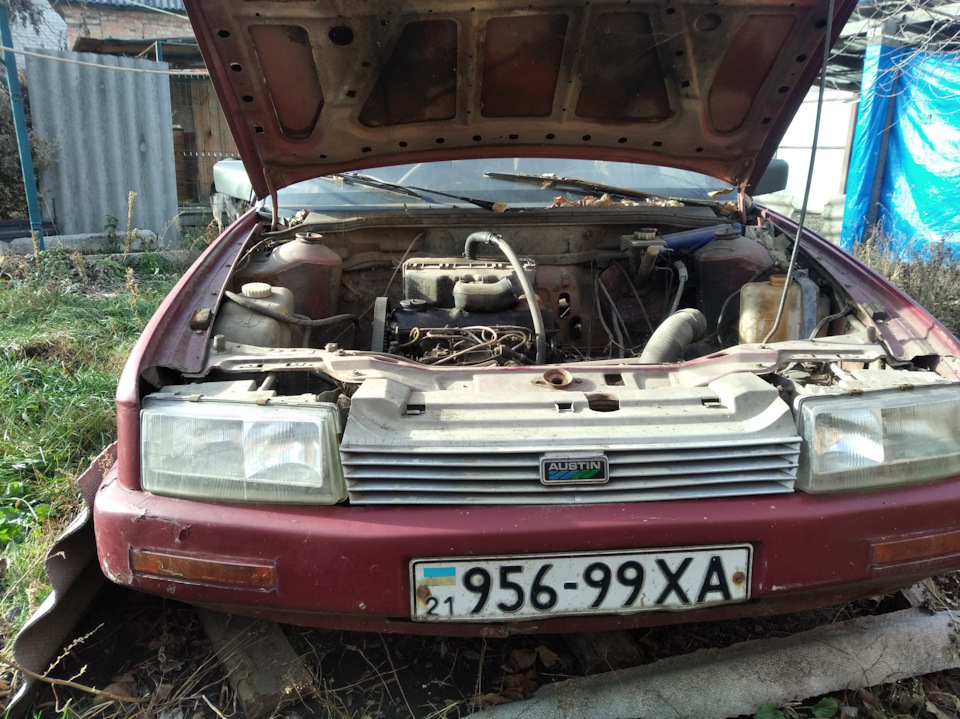 Austin-Rover. відкопав невідомого динозавра 80-ті - 90-ті 4