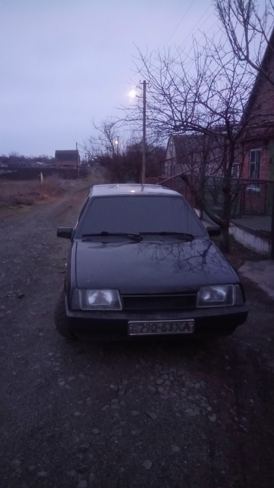 Тонування та заміна лобового 2