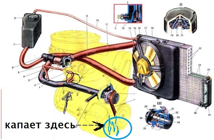 Виток тосолу 1
