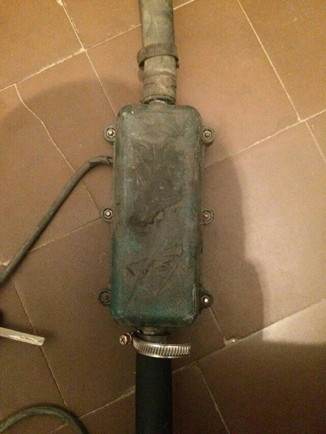 Продам подргрів тосолу 1