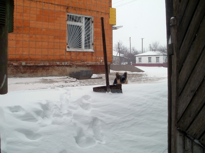 весна… 1