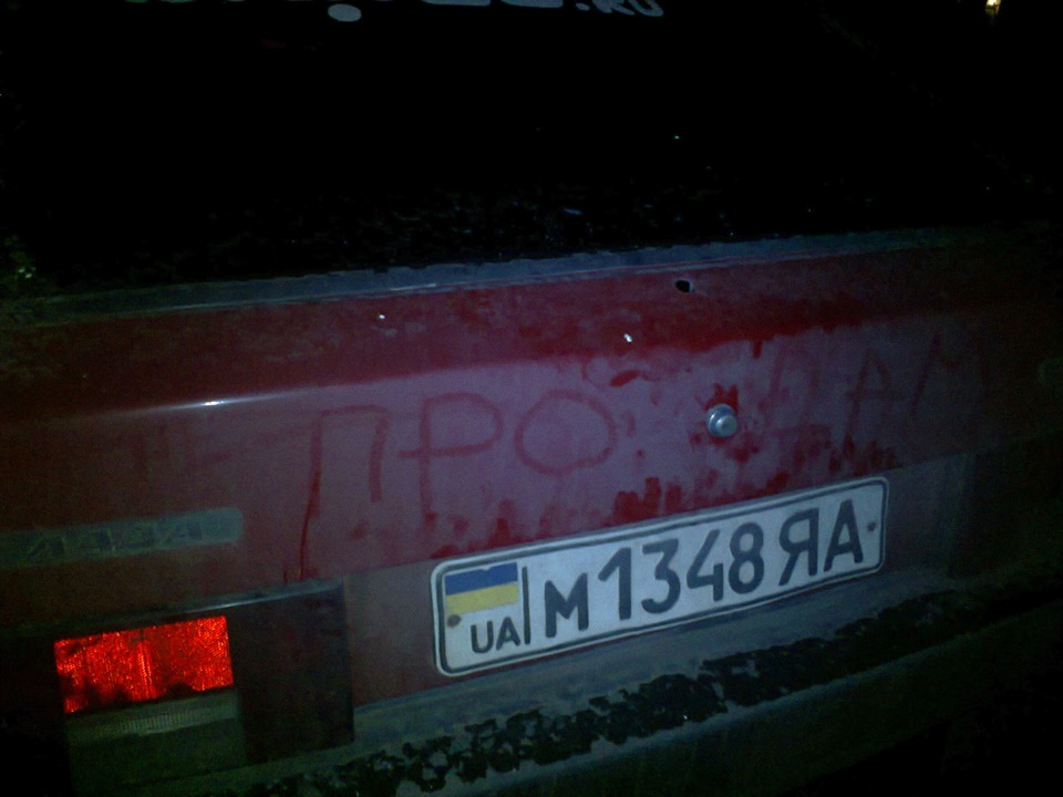 Товариш у дворі 1