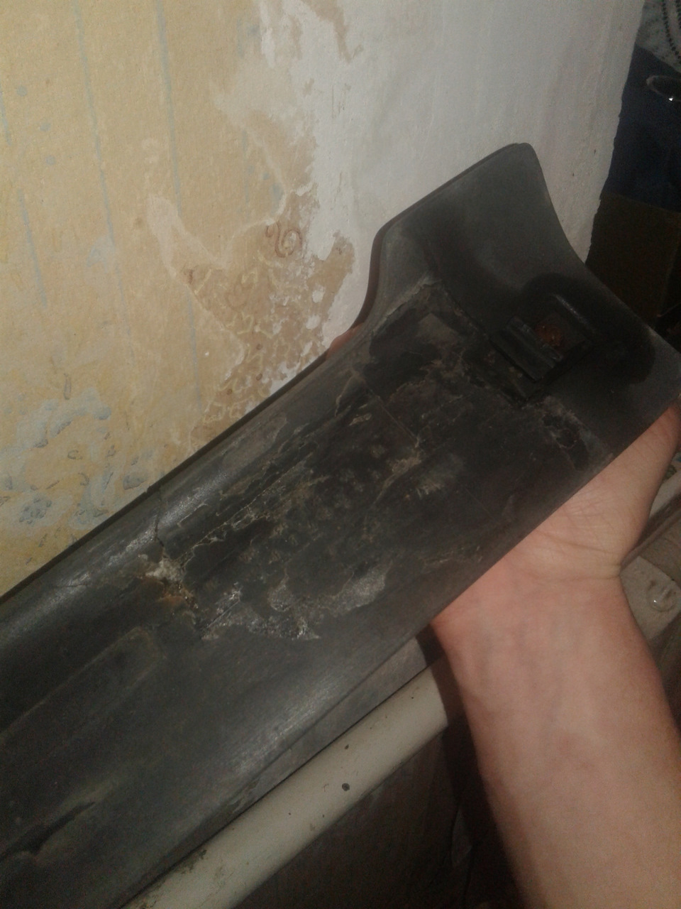 Foha приїхав)) 4