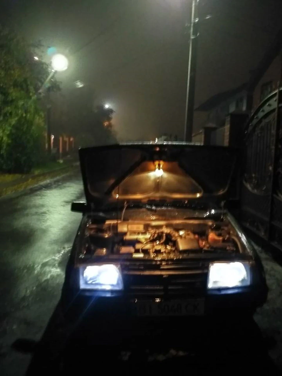 Вологий коробас
