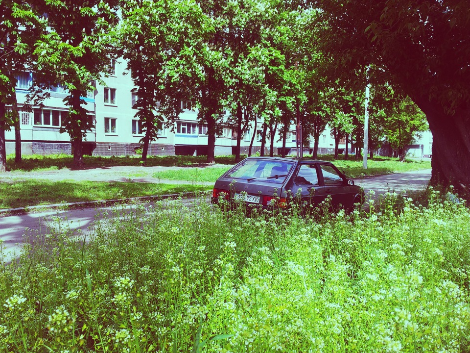 Фотосесія 4 Літо 8-) 3