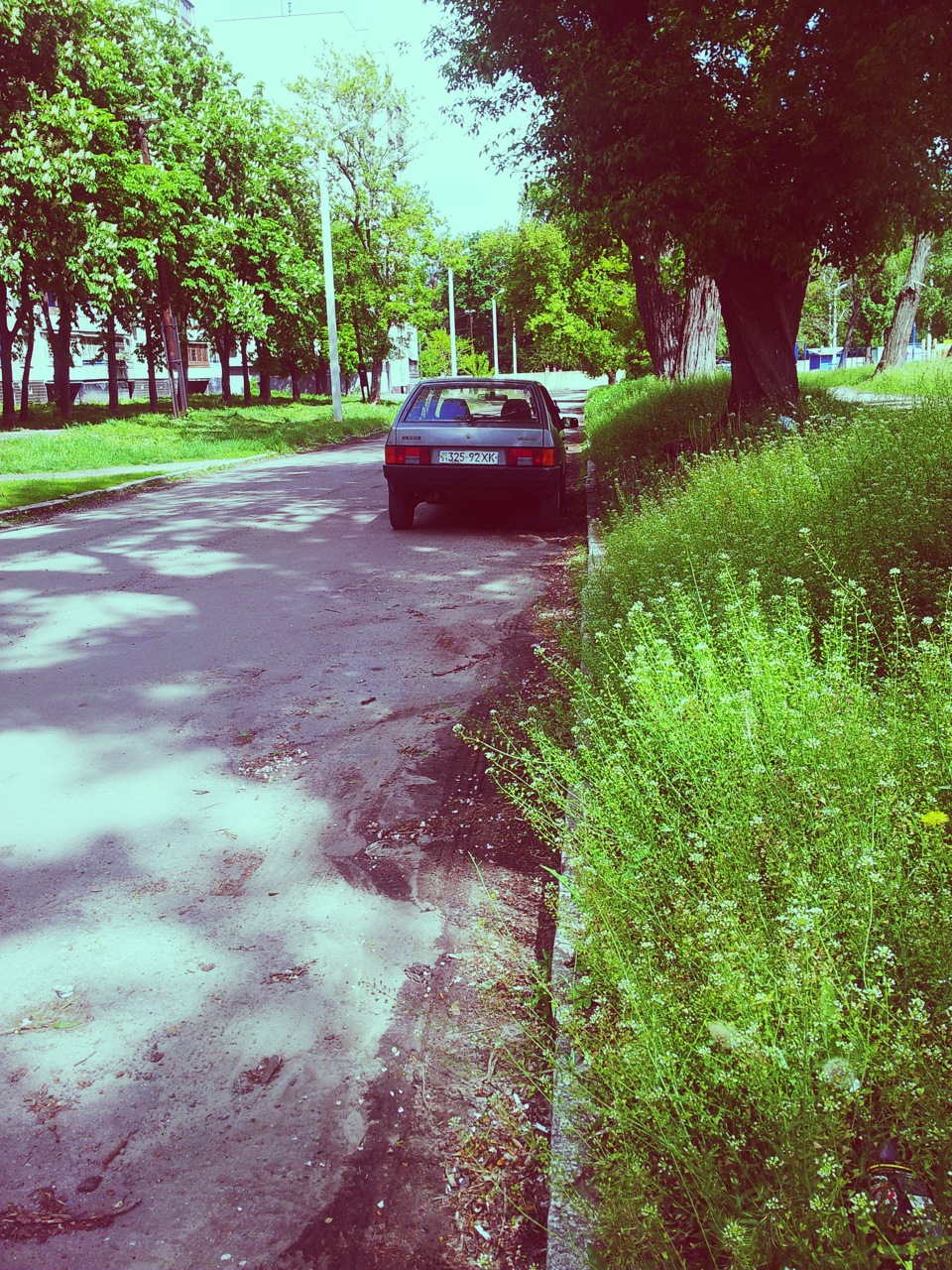 Фотосесія 4 Літо 8-) 4
