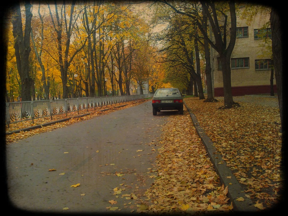 Фотосесія 7 3