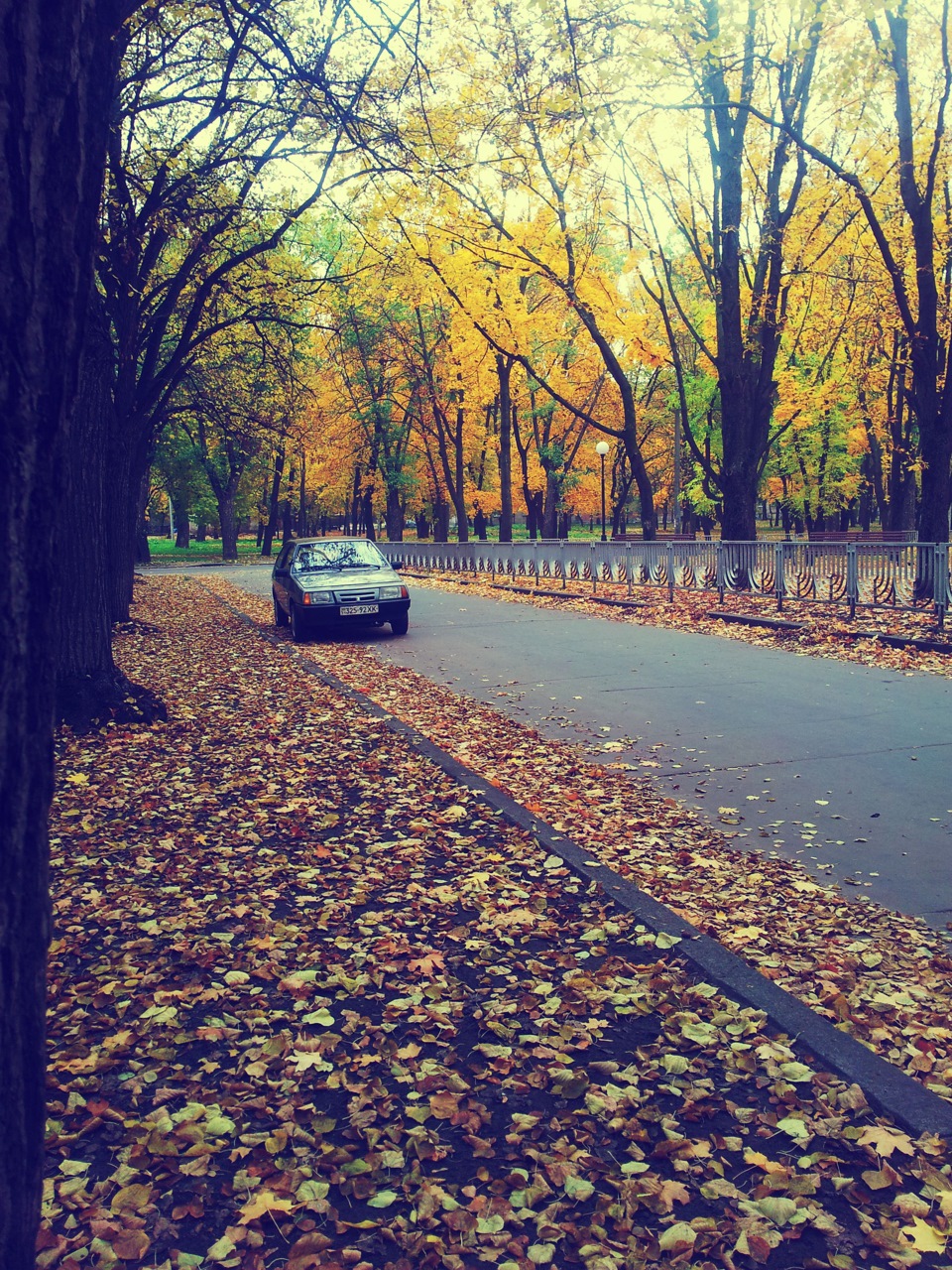 Фотосесія 7 4