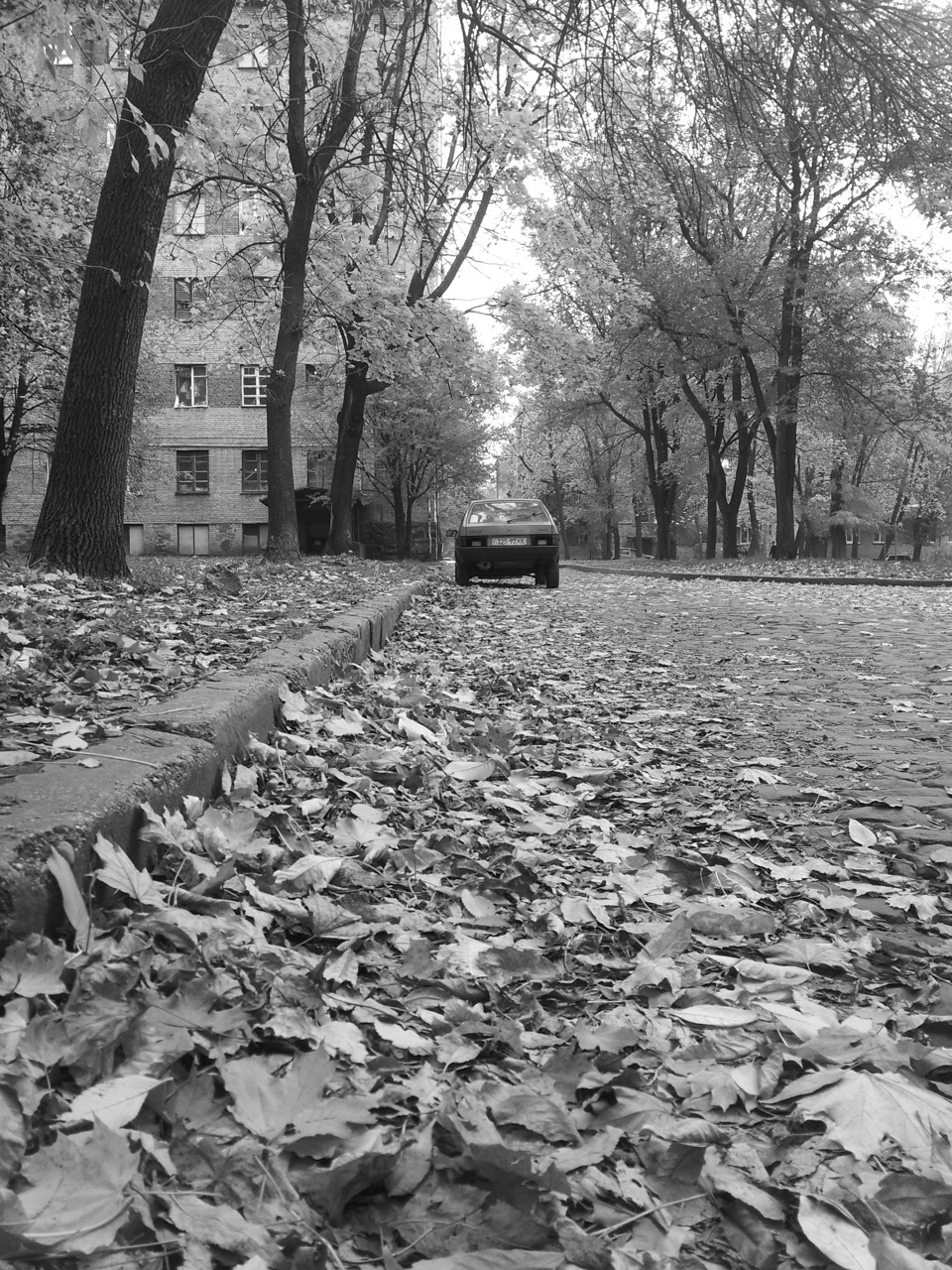 Фотосесія 7 1