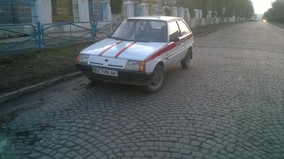 Знайомся! Службовий кінь ТАВРОН 1