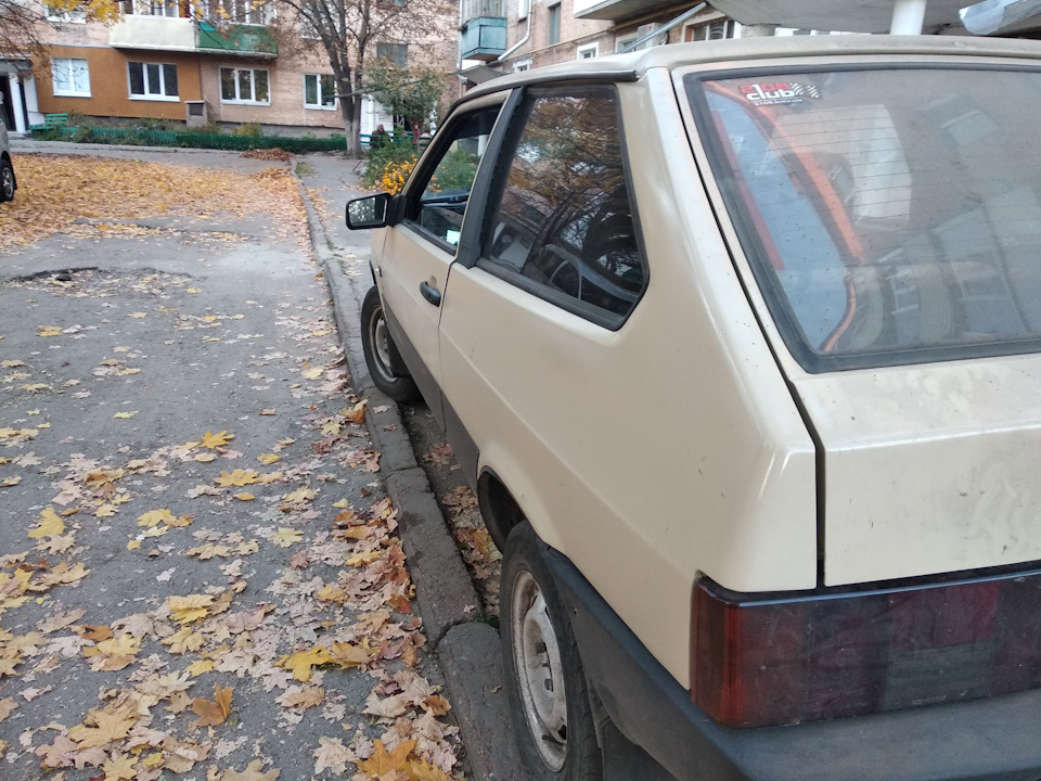 Сірий ведмедик став Згущеним молоком 2
