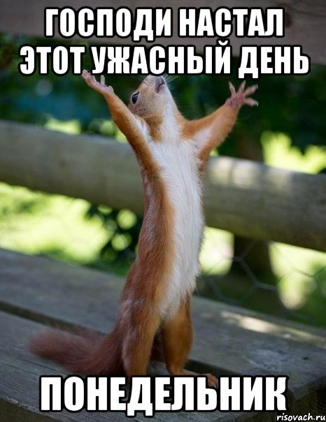 бензин окко…інструкція як вбити бензонасос 1