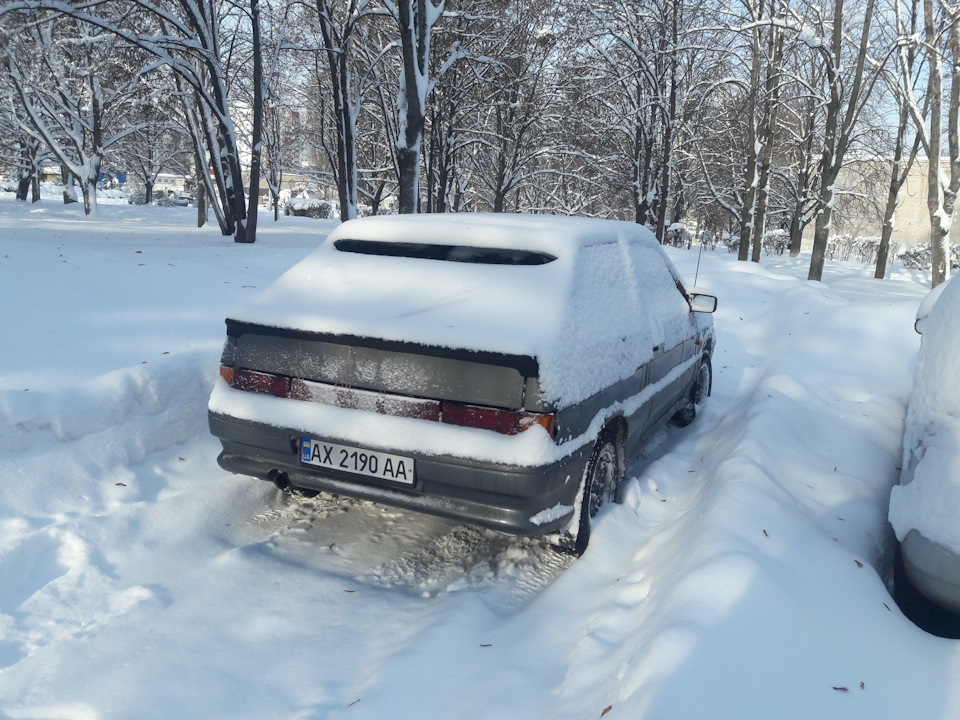 На тлі снігу 2019 3