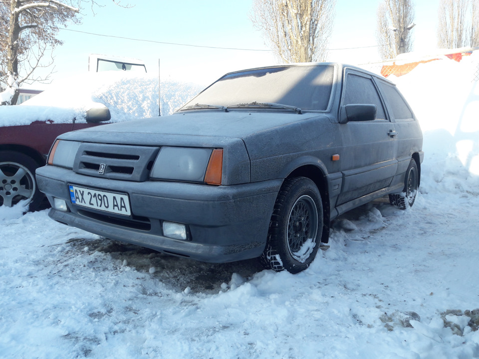 На тлі снігу 2019 5