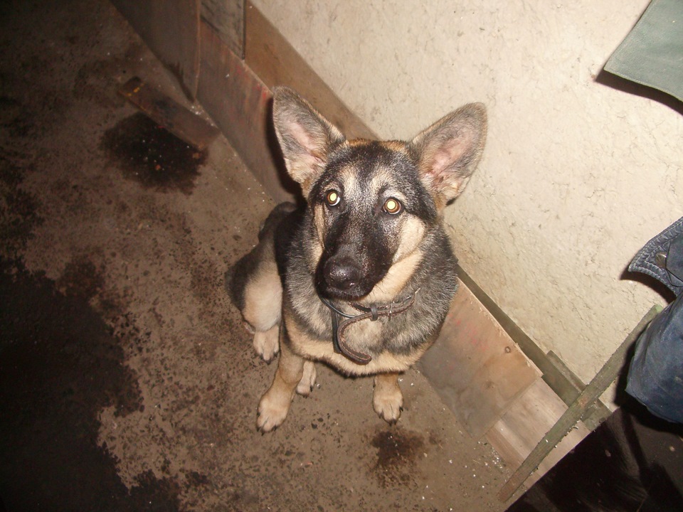 Електрика та Електроніка 2 - Планшет в машину. 3