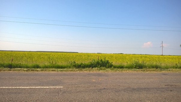 З дня покупки дорога дамою 2
