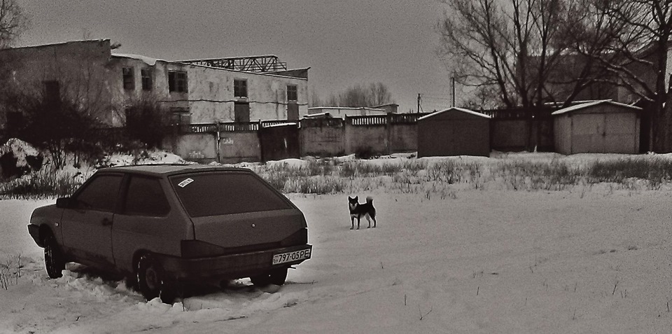Кілька свіжих фото 4