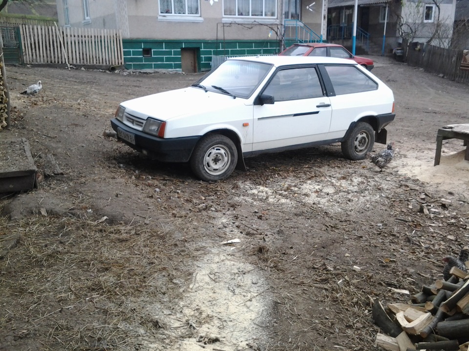 Покотушки 2