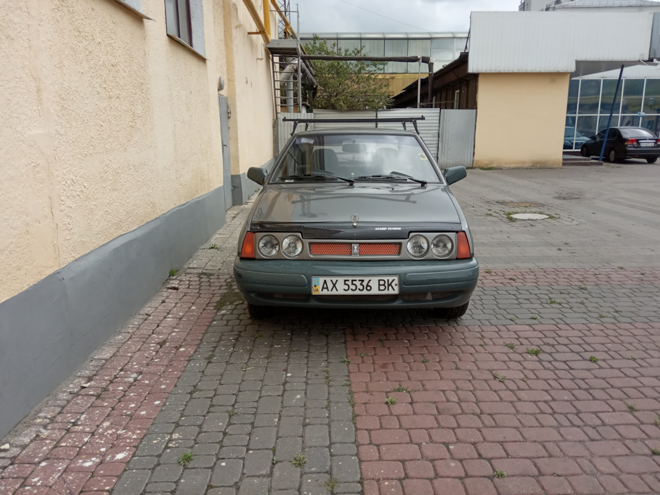 2109 Carlota - рідкісної породи звір 2