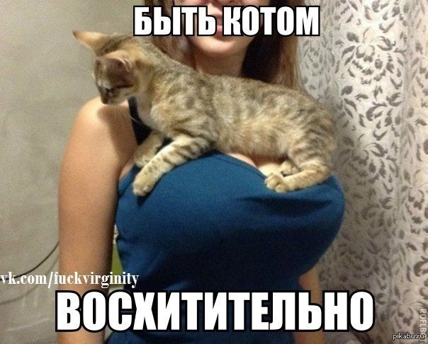 Штампи R13 2