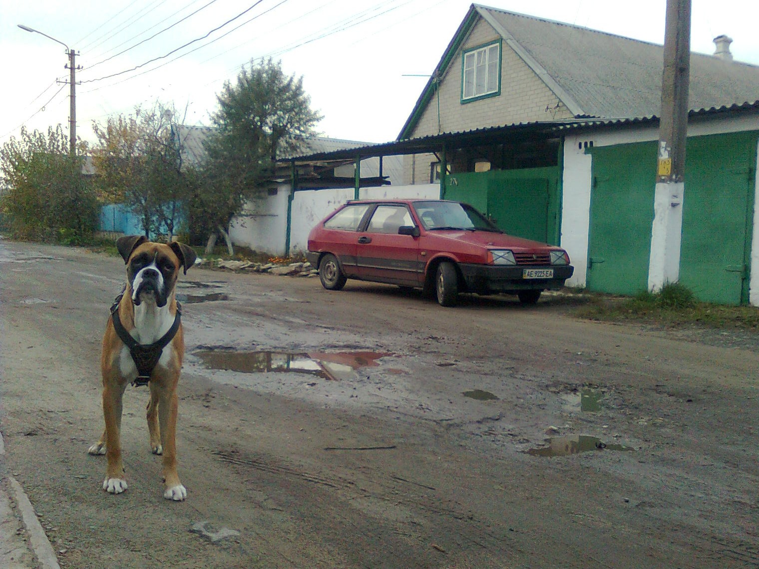 Кинув на черево 4