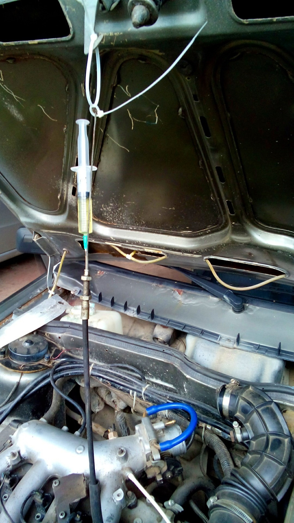 Нова посадка ( - 50 mm) + дрібниця але приємно. 2
