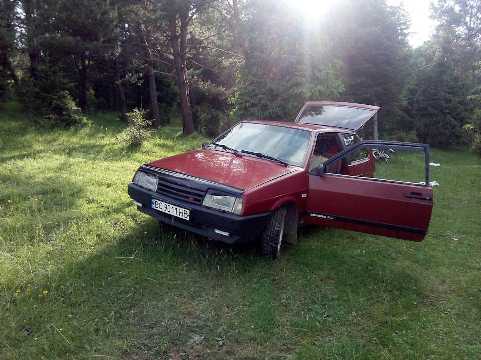 Шипуча вишенька на природі. 3