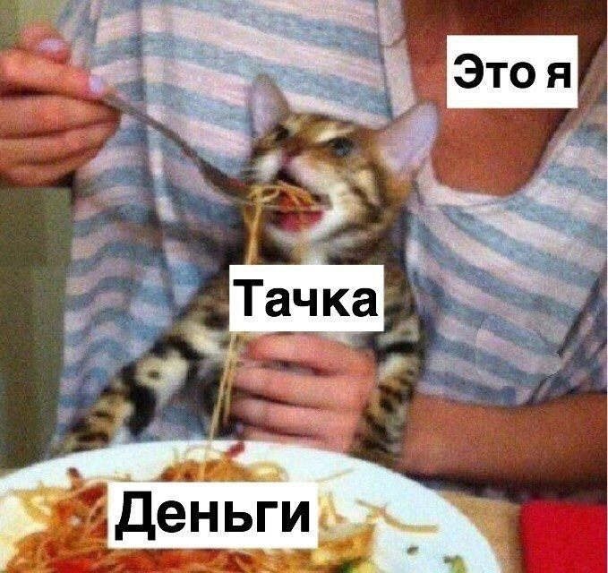 Запис №12. Поставив дзьоб і Foha. 5