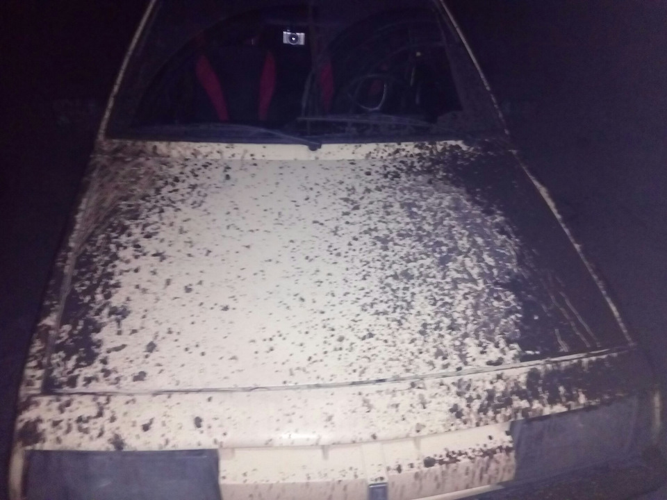 Rally Offroad Ni 2