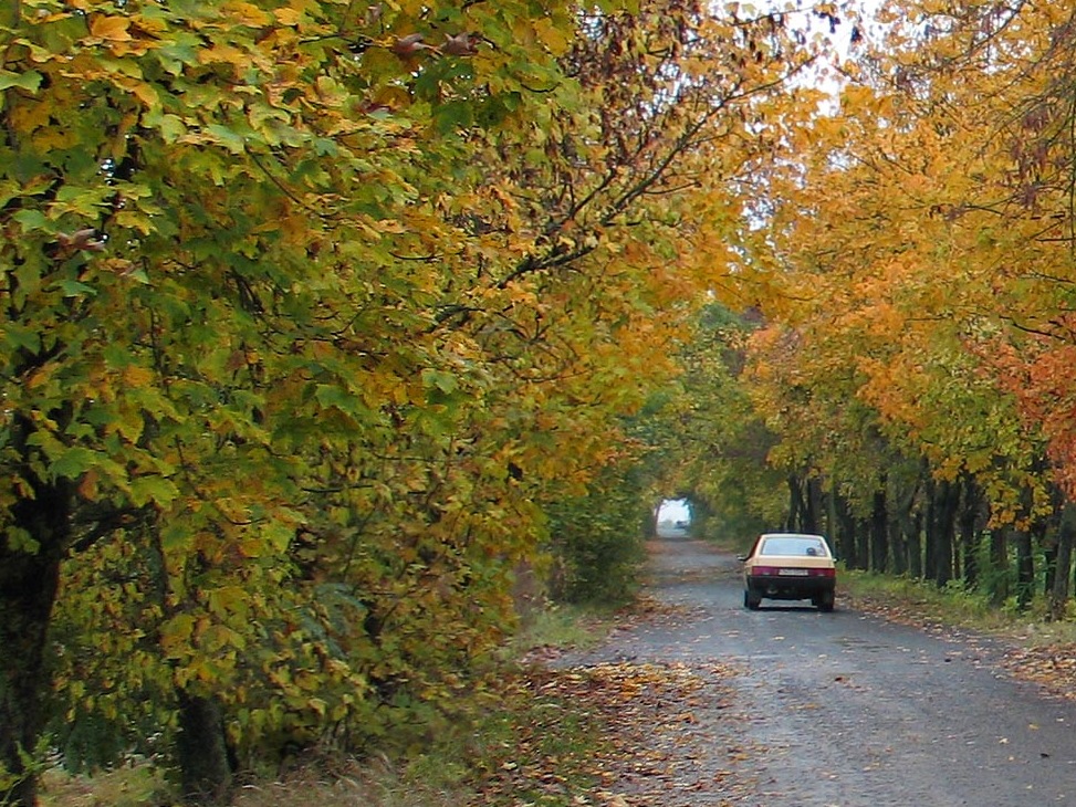 Ще пара красивих фото 2