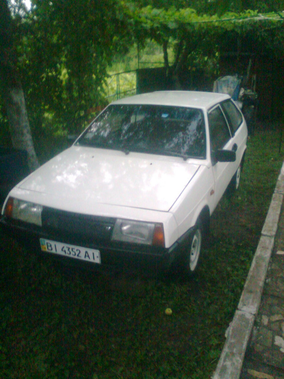 фарбування травень 2010 5