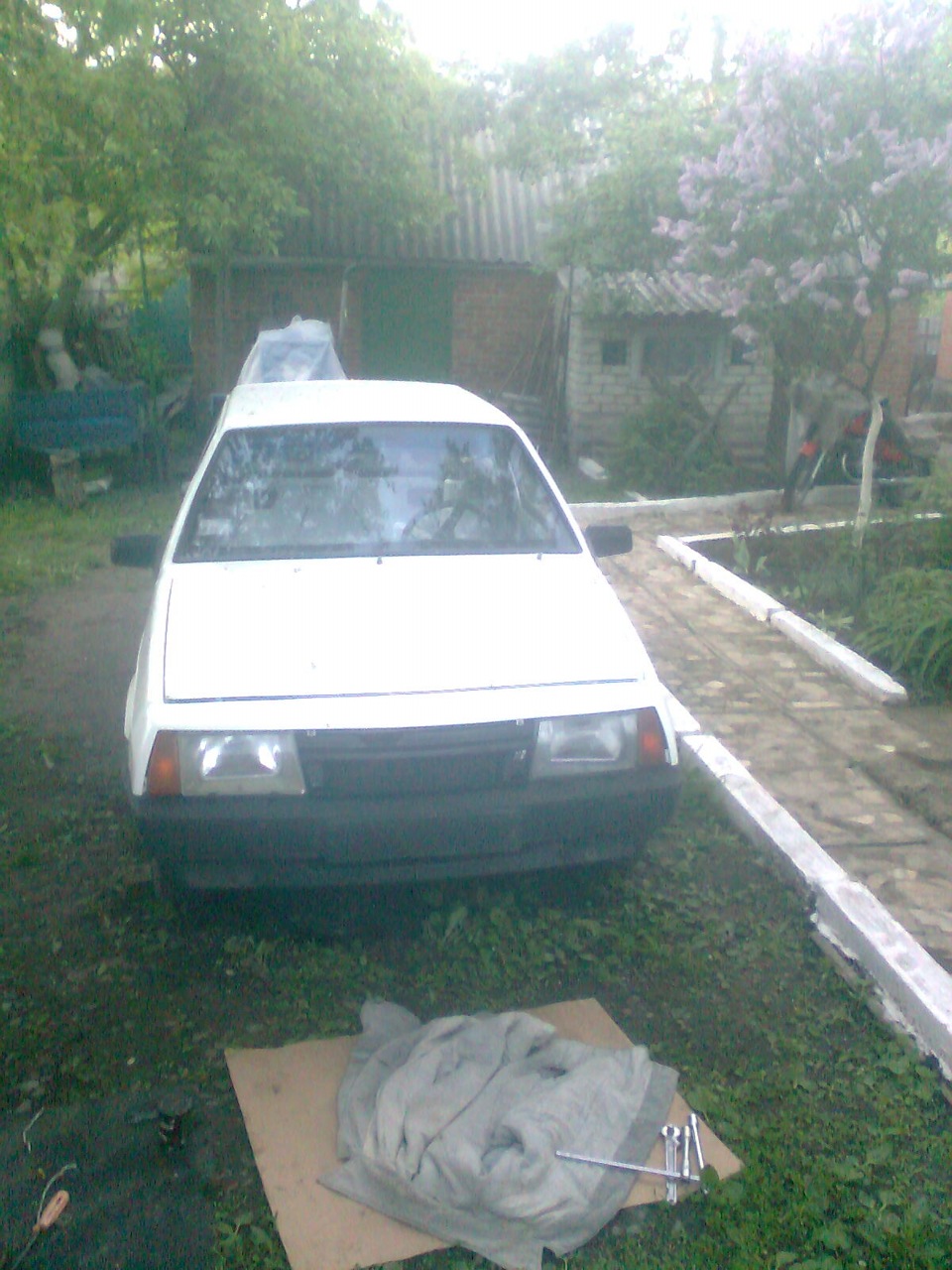 фарбування травень 2010 4