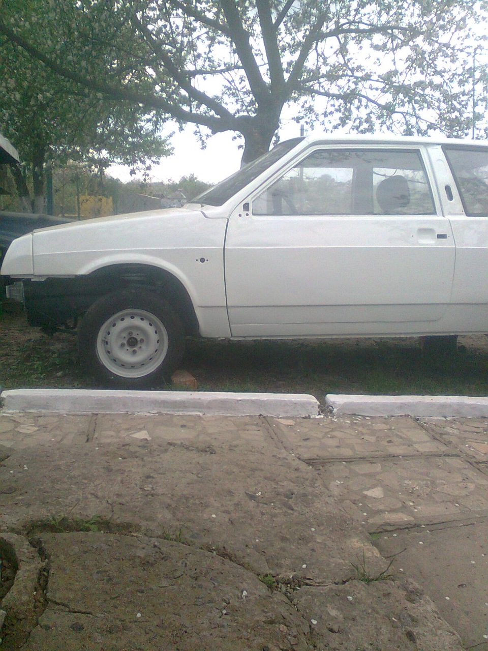 фарбування травень 2010 2