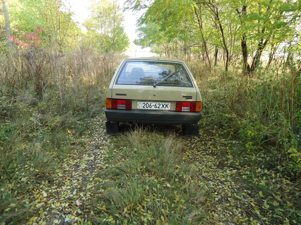 Осінь 4
