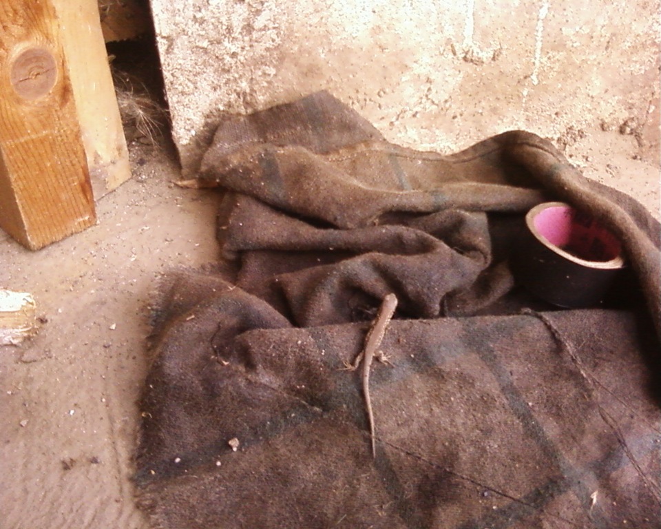 клапан 4