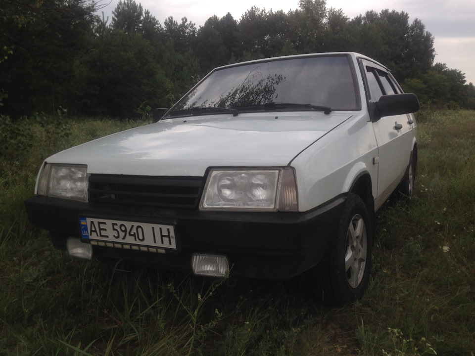 Ліс, Грибочки. 1