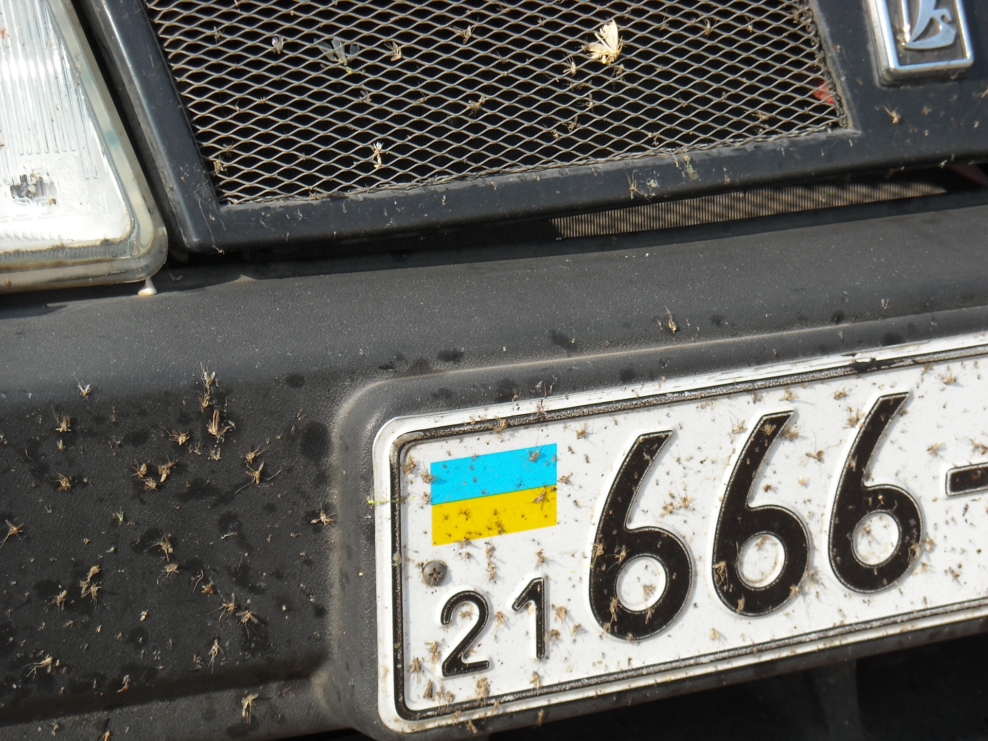 Дійшли руки до створення блогу! Літній відпочинок на березі моря 2010! 2