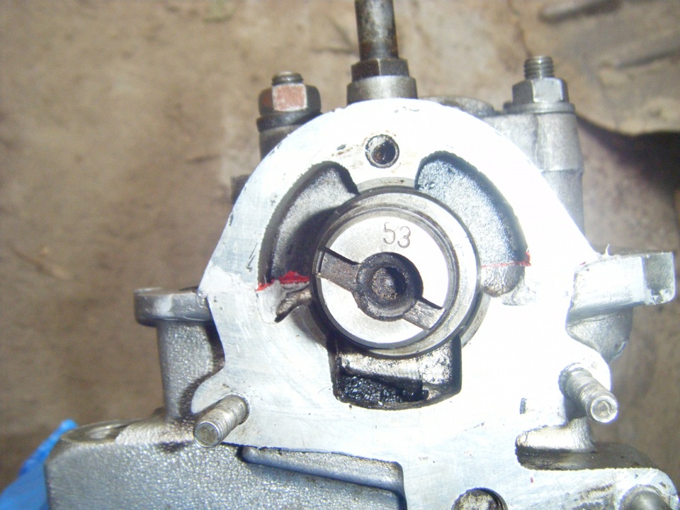 Нове серце 5