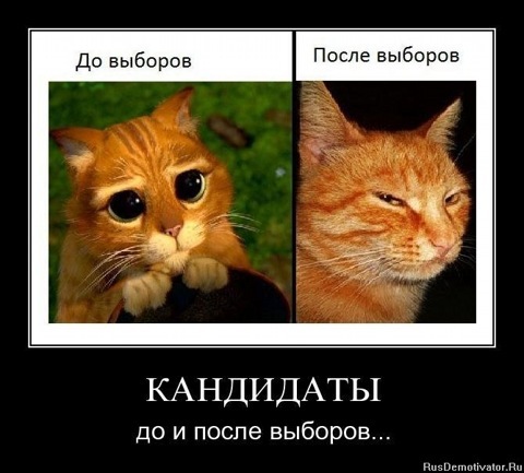 Так - чисто поржати, Релаксу заради) 5