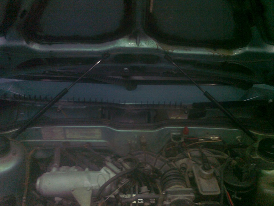 Гозові упори Капота 1