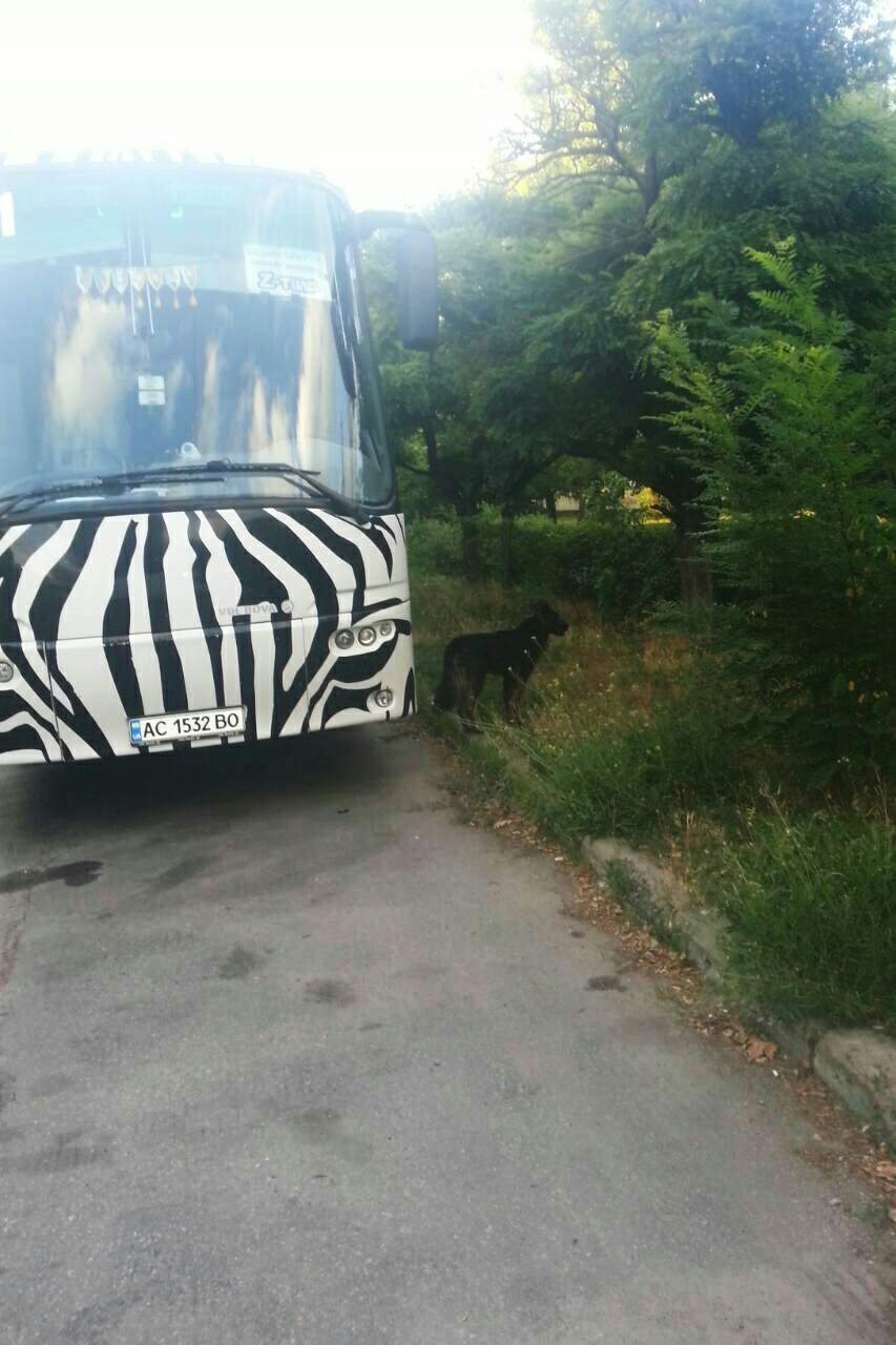 Не багато про роботу 4